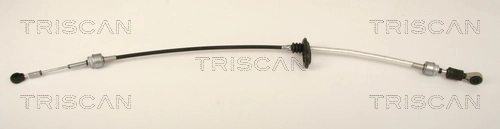 814023702 Triscan