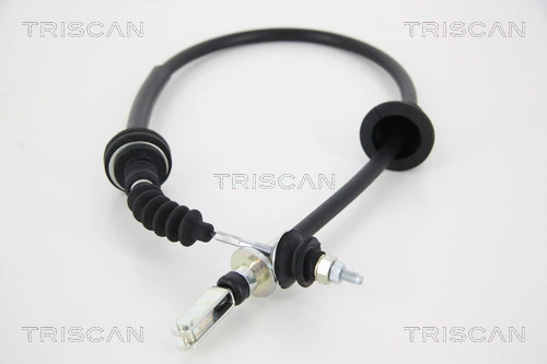 814068205 Triscan