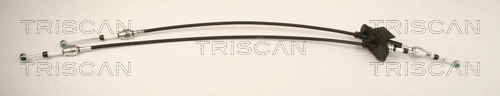 814015718 Triscan
