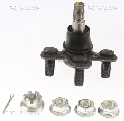 850040591 Triscan