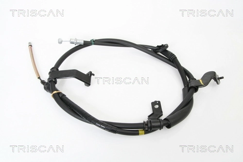 814043126 Triscan