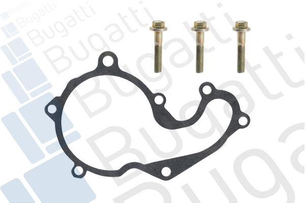 Bomba refrigerante coche Ford Connect  (2002-2013)