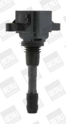 ZSE066 Beru