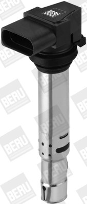 ZSE138 Beru