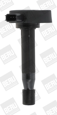 ZSE166 Beru