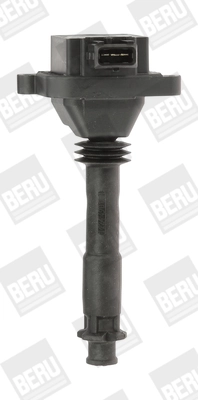ZS310 Beru