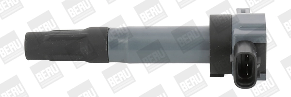 ZSE189 Beru