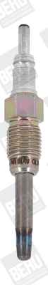 GN020 Beru