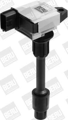 ZSE076 Beru