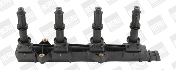 ZSE149 Beru