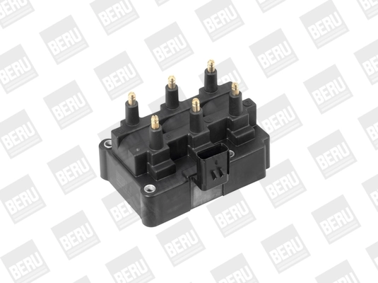 ZS470 Beru