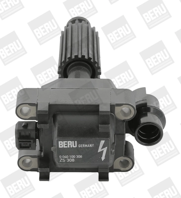 ZS308 Beru