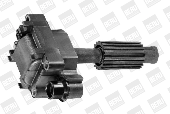 Comprar ZS308 Beru Bobina