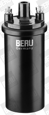 ZS121 Beru