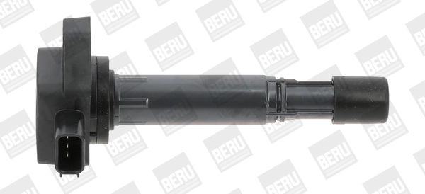 ZSE170 Beru