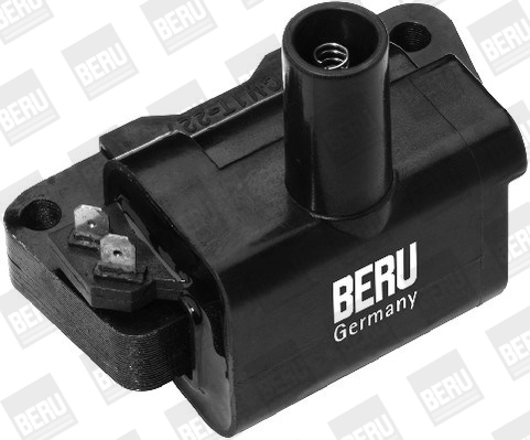 Comprar ZS326 Beru Bobina