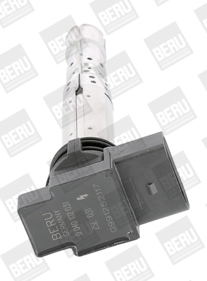 ZSE031 Beru