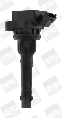 ZS449 Beru
