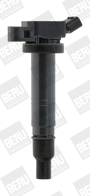 ZSE167 Beru