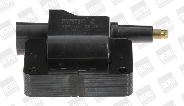 ZS394 Beru