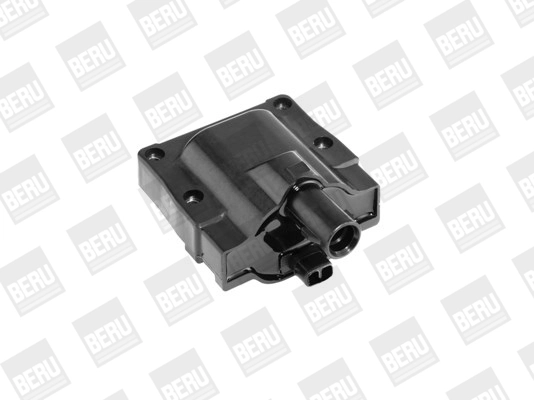 ZS445 Beru