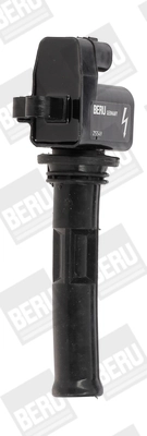 ZS549 Beru