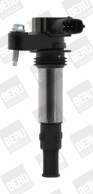 ZSE174 Beru
