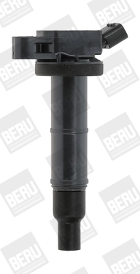 ZSE171 Beru
