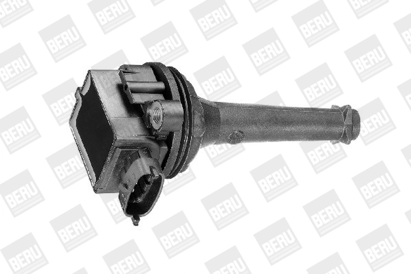 Comprar ZSE019 Beru Bobina