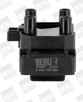 ZS234 Beru
