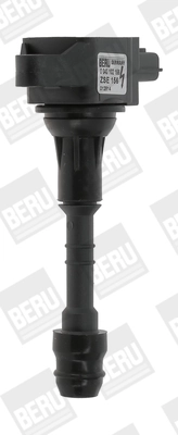 ZSE156 Beru