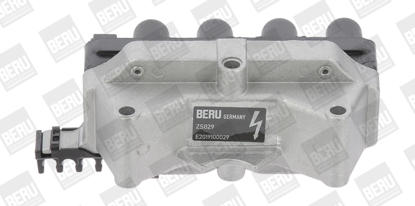 ZS029 Beru