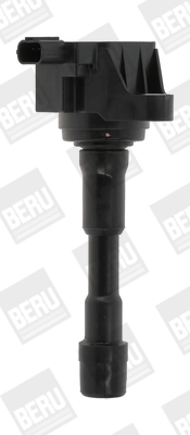 ZSE176 Beru