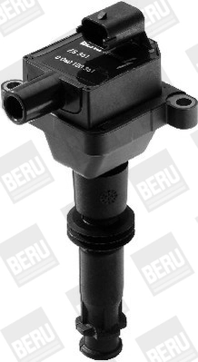 Comprar ZS361 Beru Bobina