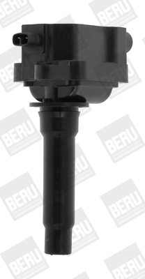ZS434 Beru