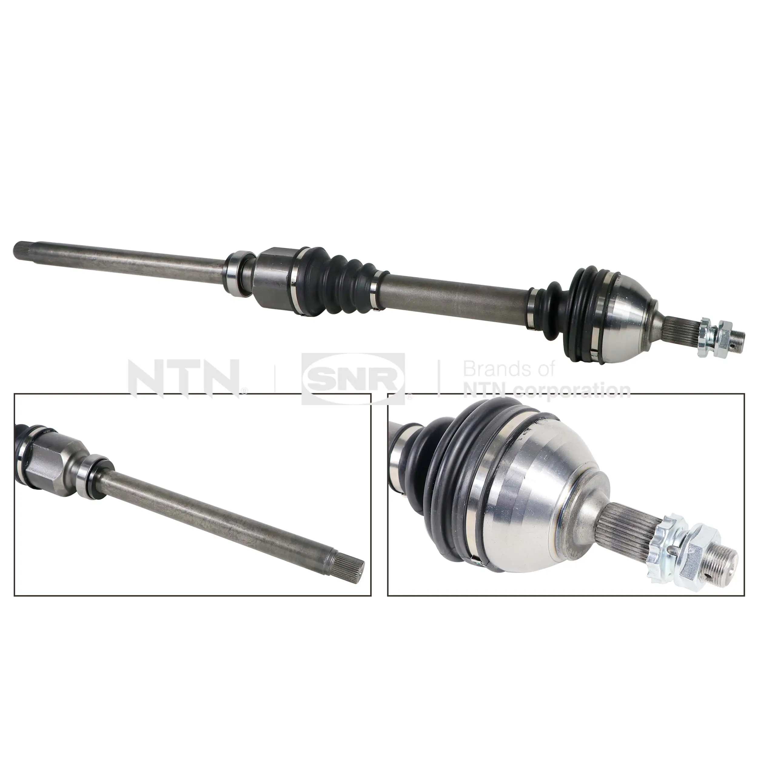 DK66041 SNR
