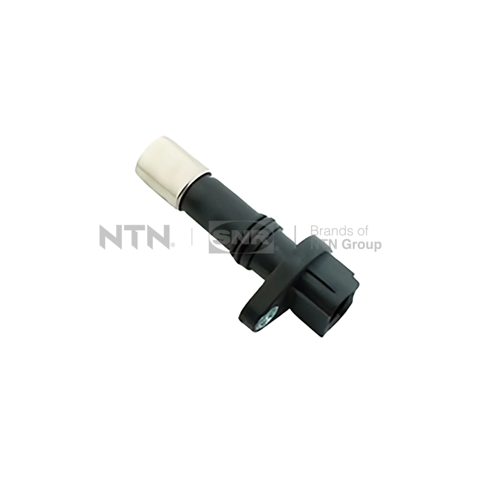 CKP15902 SNR