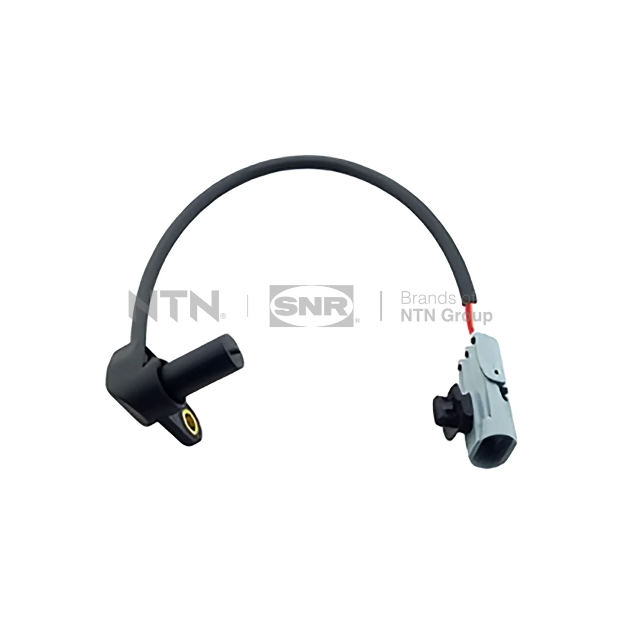 CKP15520 SNR