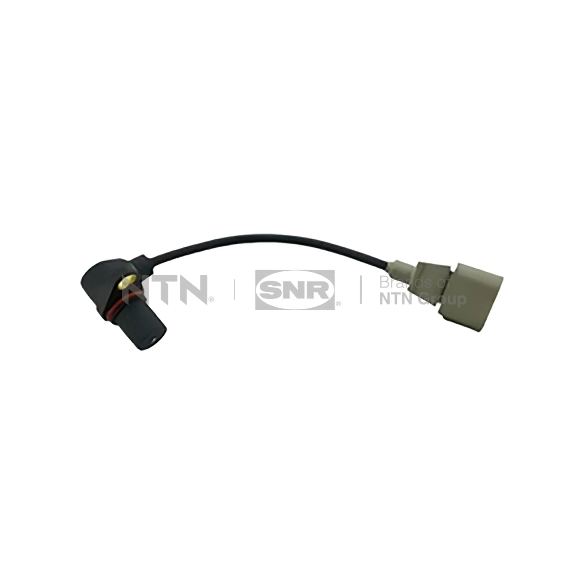 CKP15406 SNR