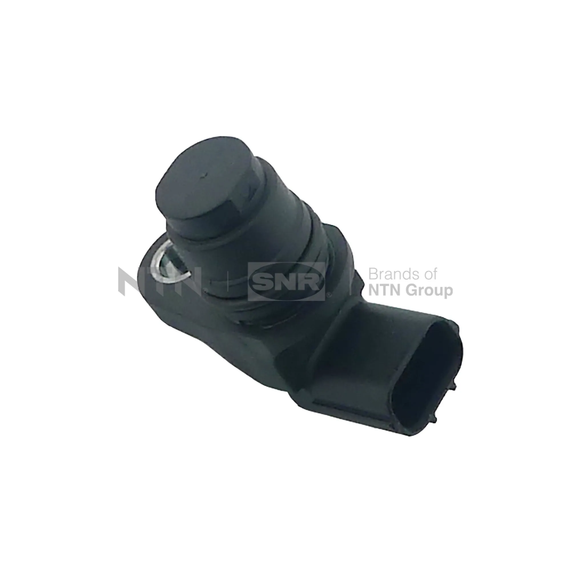 CMP17404 SNR