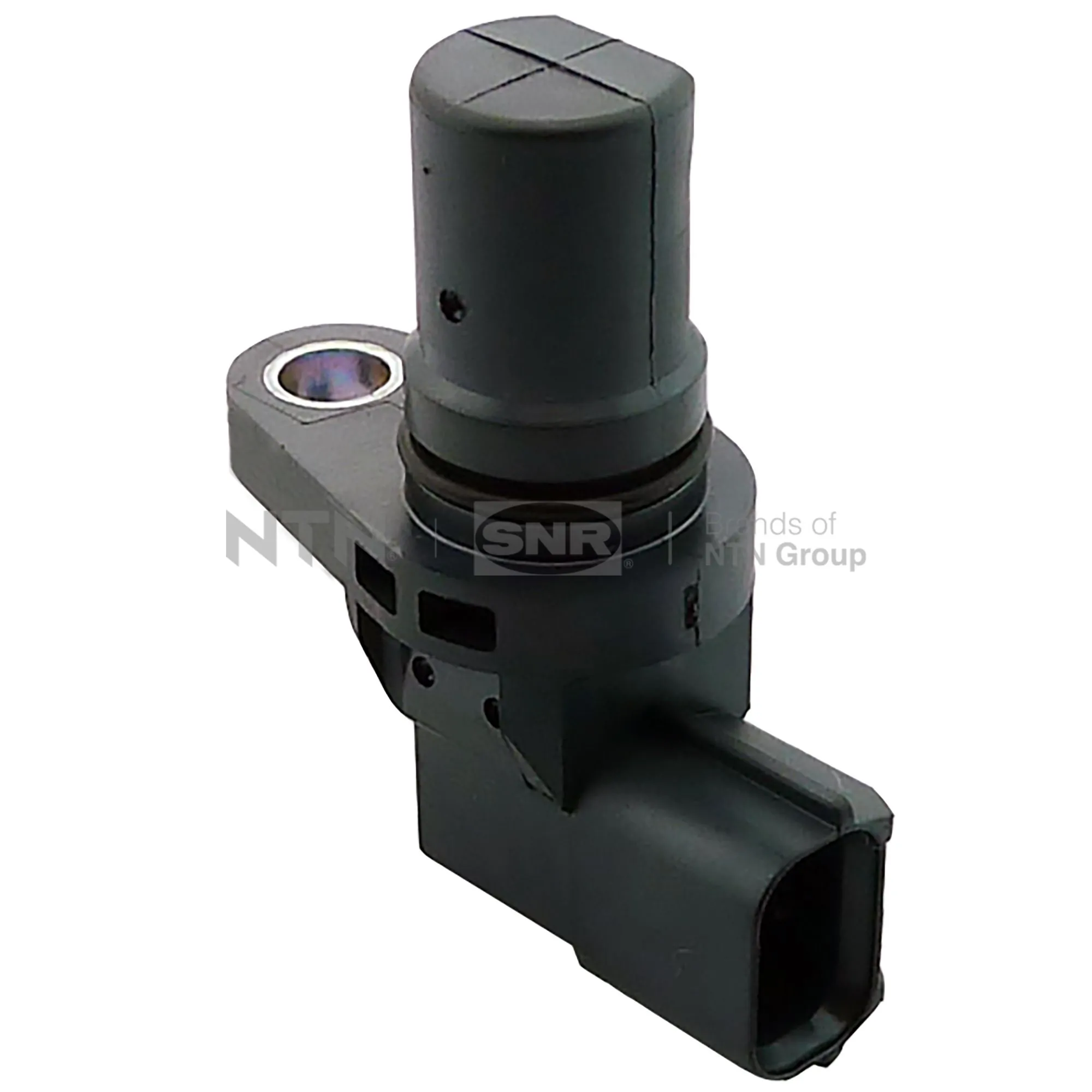 CMP17007 SNR