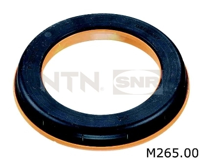 M26500 SNR