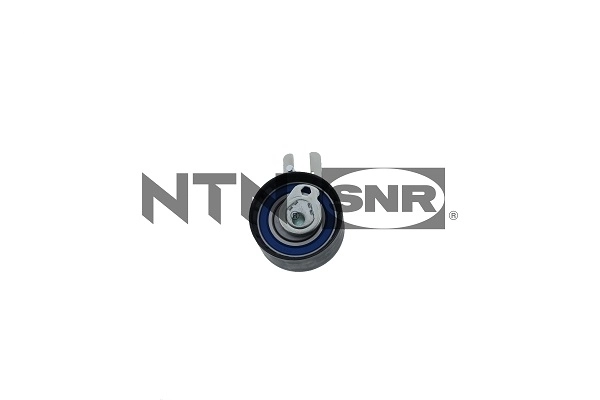 Rodillo de cadena Citroen C4  (2006-2013)