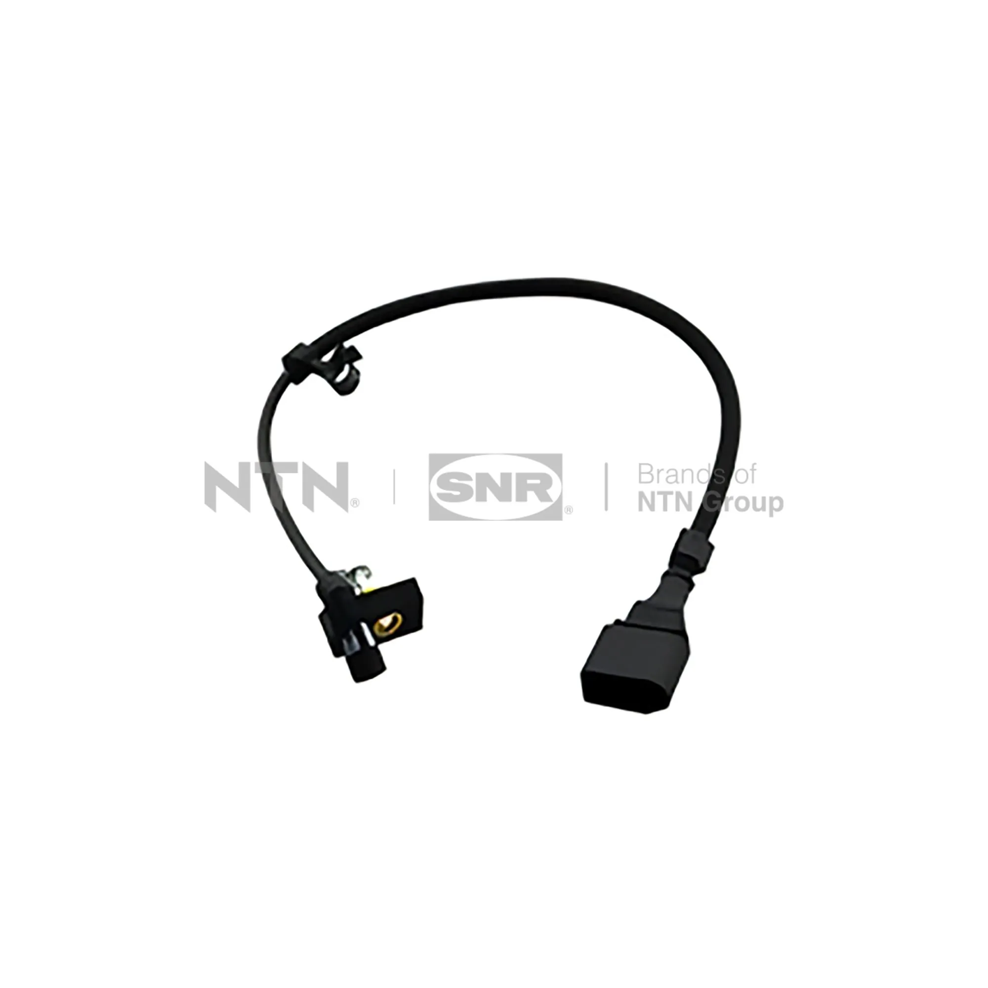 CKP15416 SNR