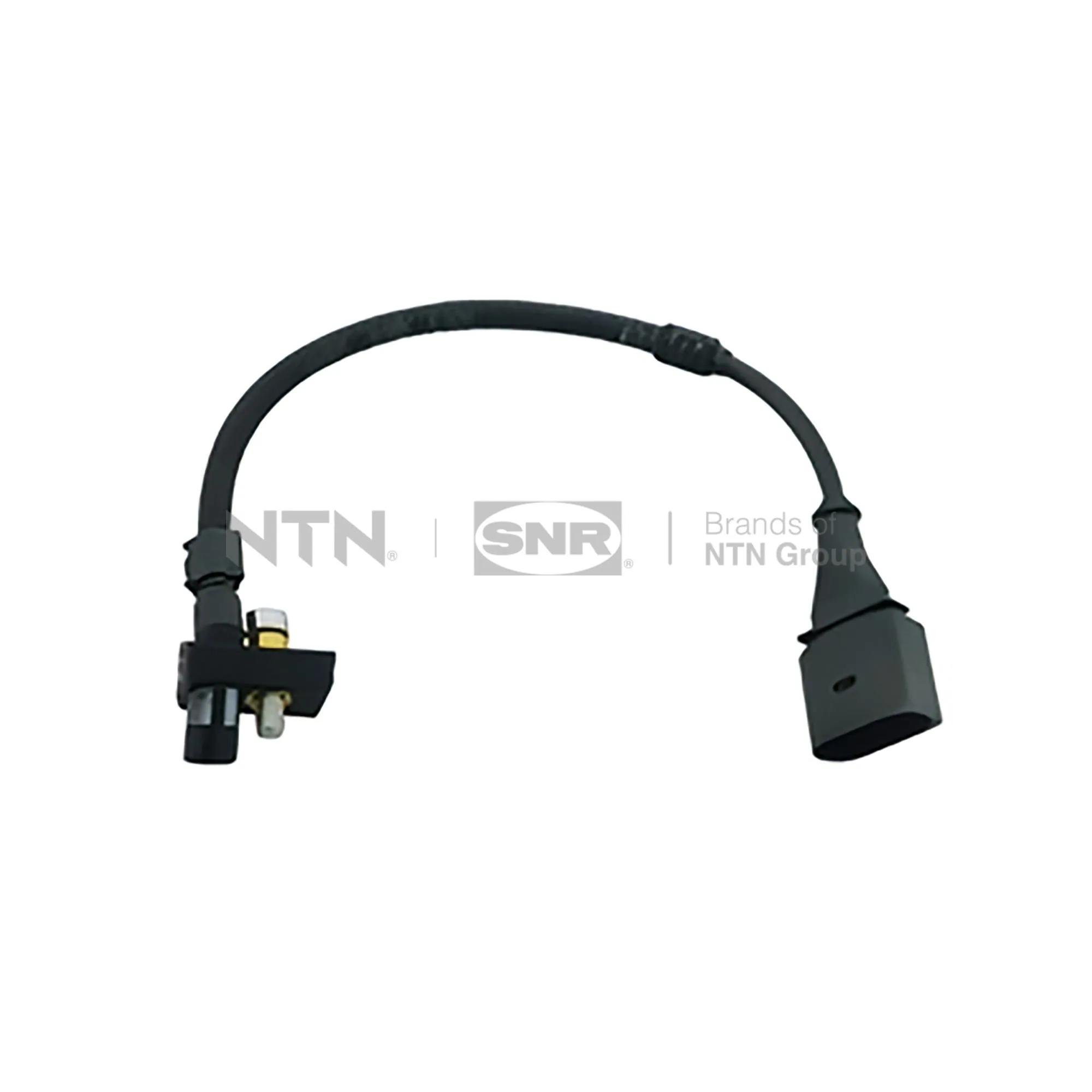 CKP15428 SNR