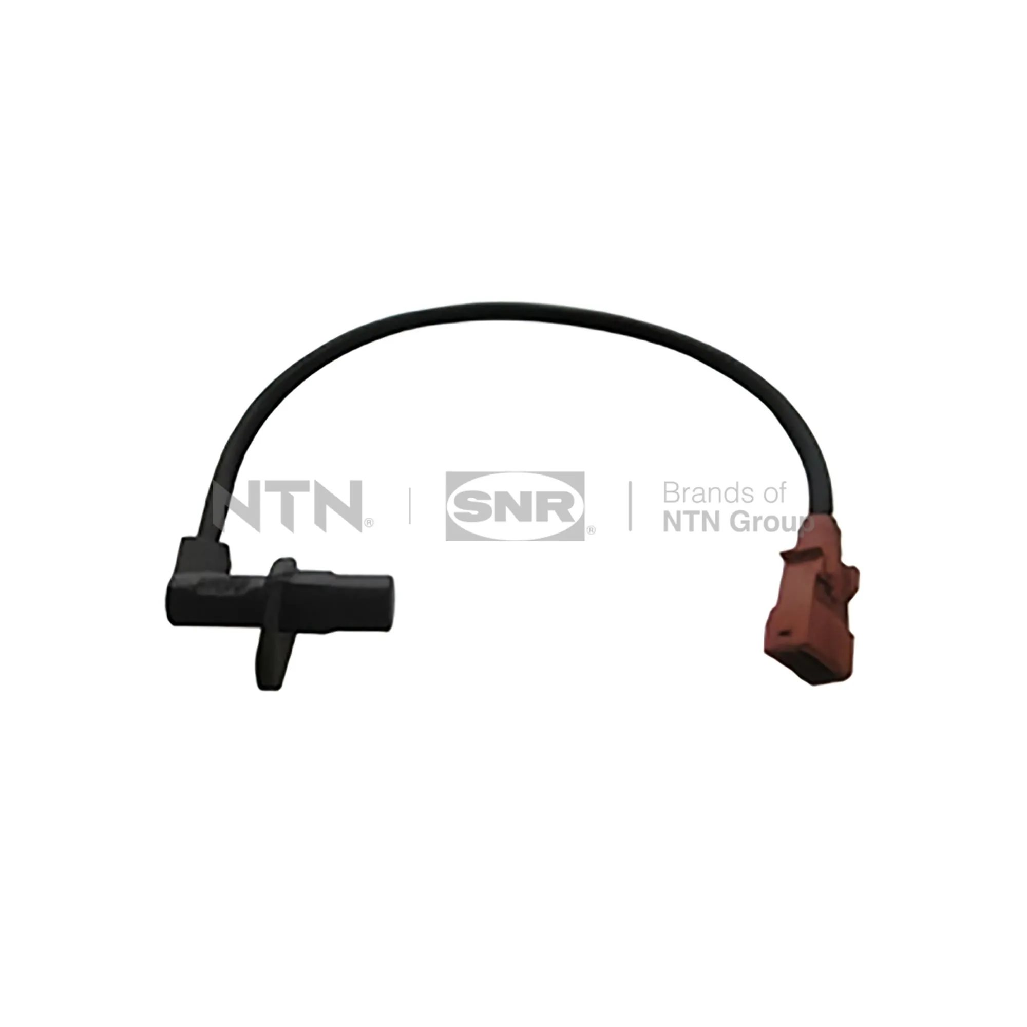 CKP15907 SNR