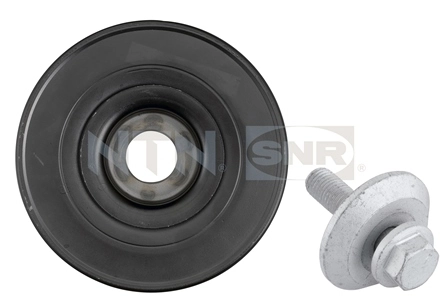 Polea dámper para Citroen Xsara (N2)
