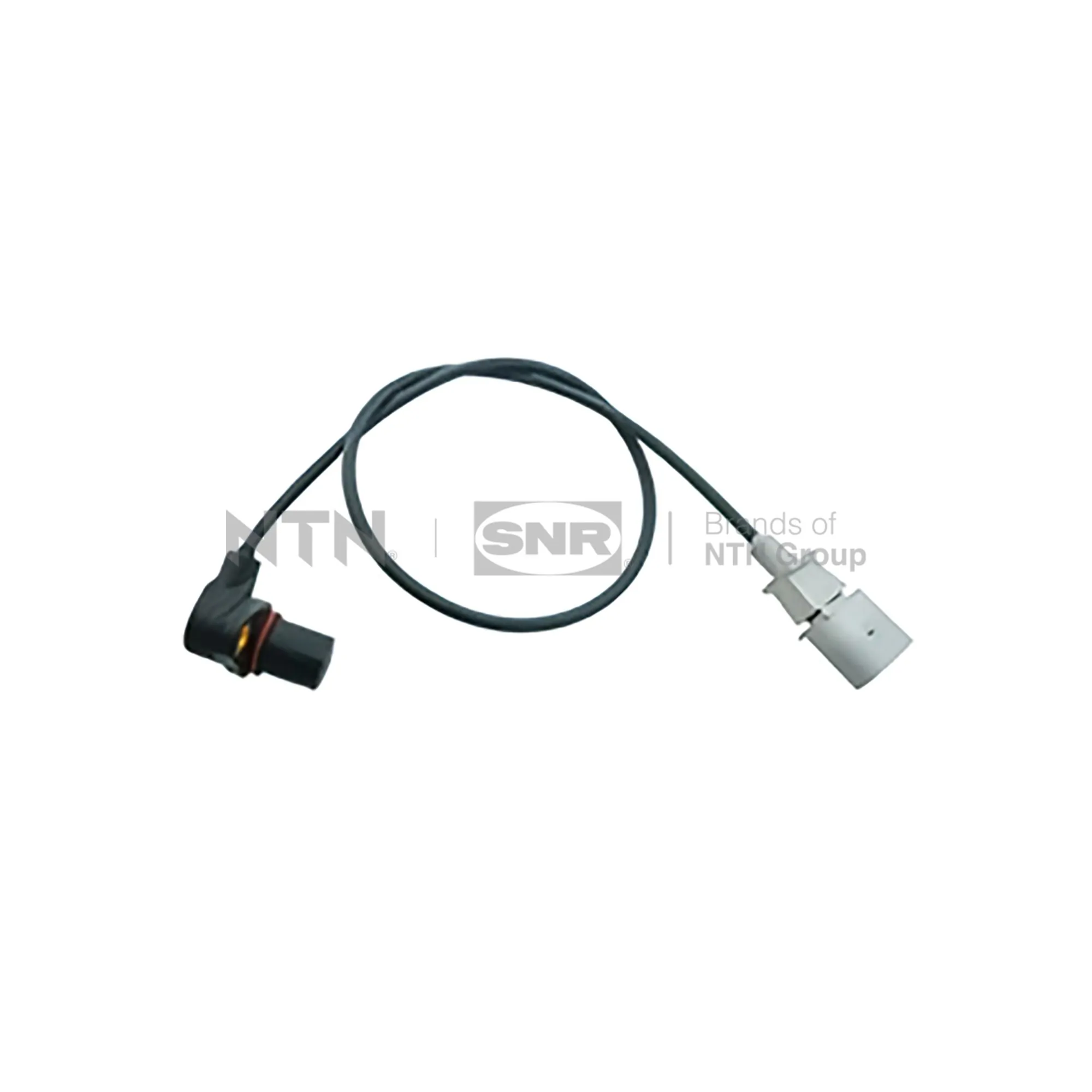 CKP15704 SNR