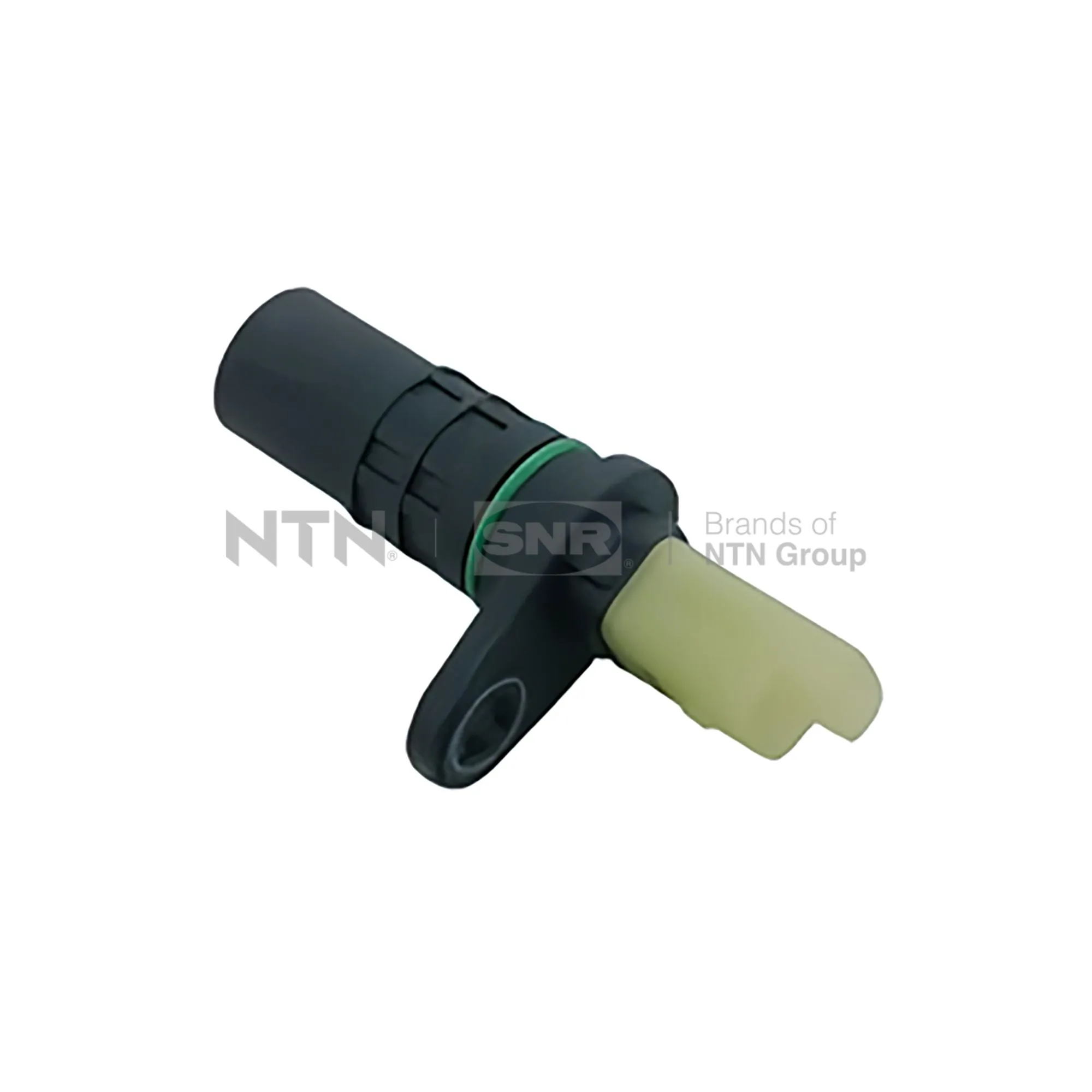 CKP15501 SNR