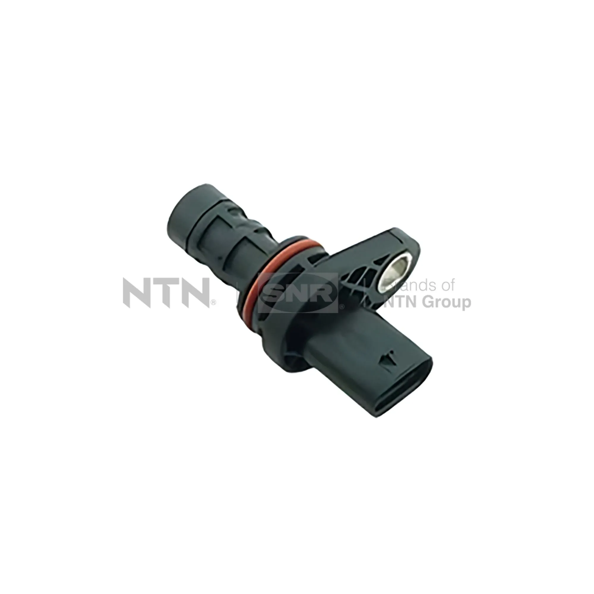 CKP15407 SNR